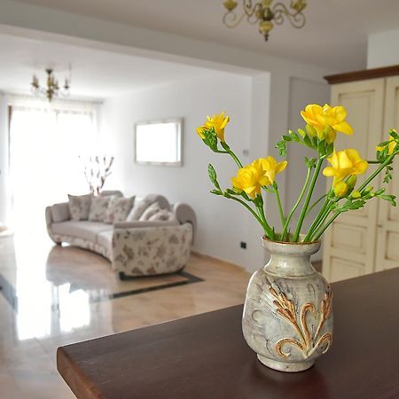 San Grecu House Apartment Fagaras Ngoại thất bức ảnh