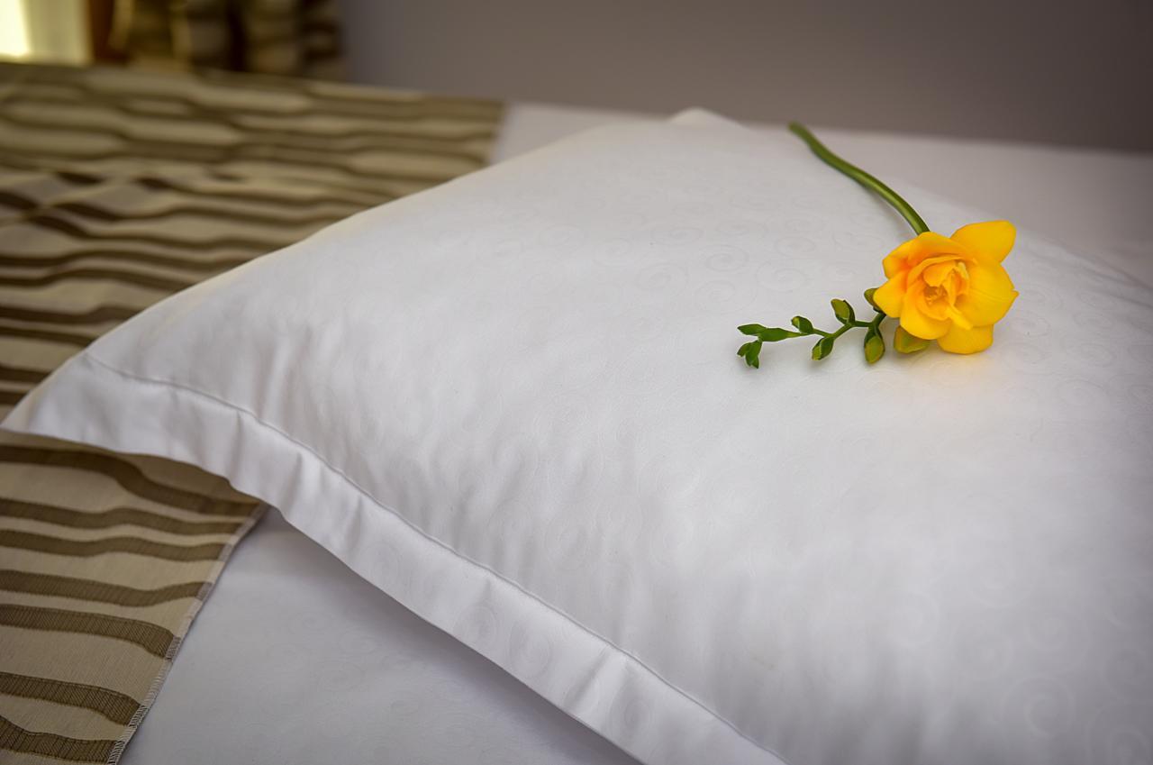San Grecu House Apartment Fagaras Ngoại thất bức ảnh
