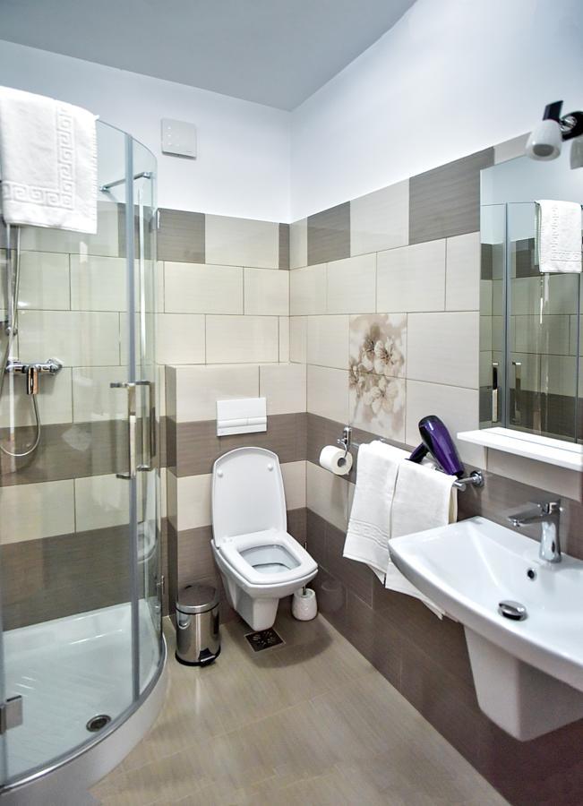 San Grecu House Apartment Fagaras Ngoại thất bức ảnh